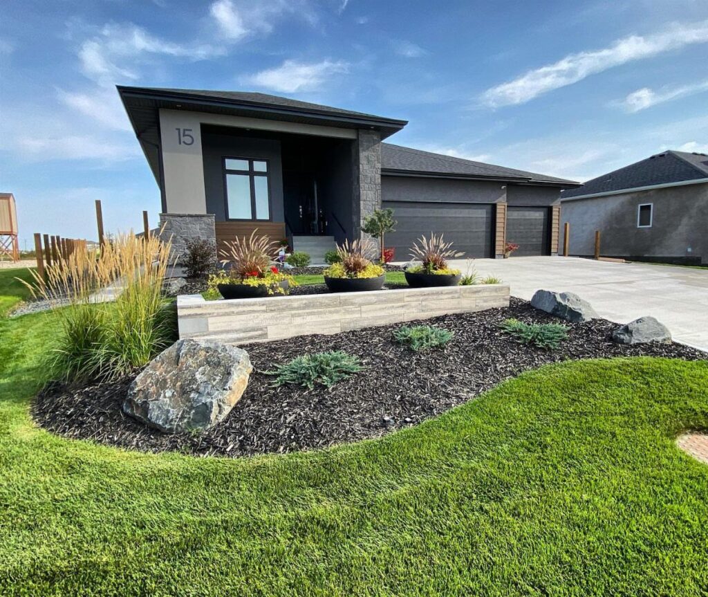 Modern house front yard with dark brown mulch, stone wall, and ornamental grasses.