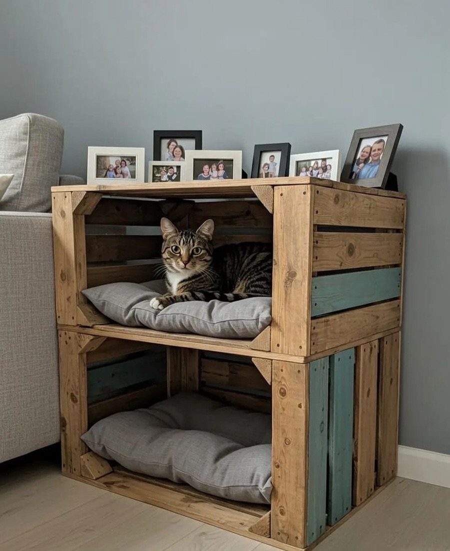 Pallet wood cat house with two tiers and grey cushions containing a tabby cat